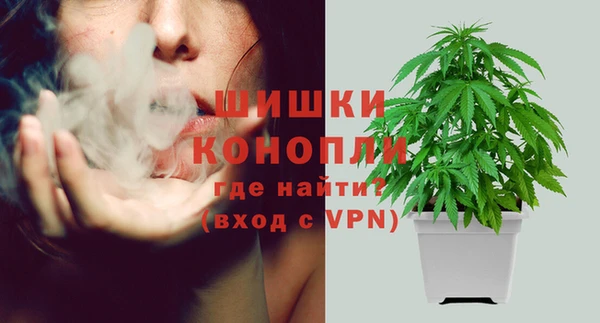 дурь Арсеньев