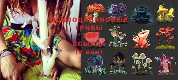 прущая мука Пересвет