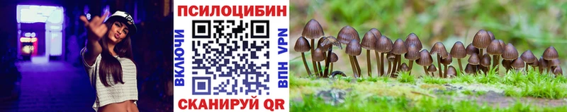 KRAKEN зеркало  Покровск  Галлюциногенные грибы мухоморы 
